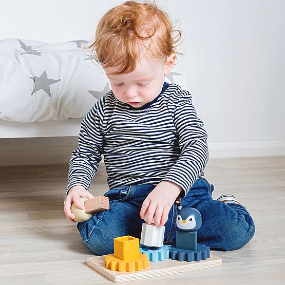 Bigjigs Toys Motorna ploča Arktik