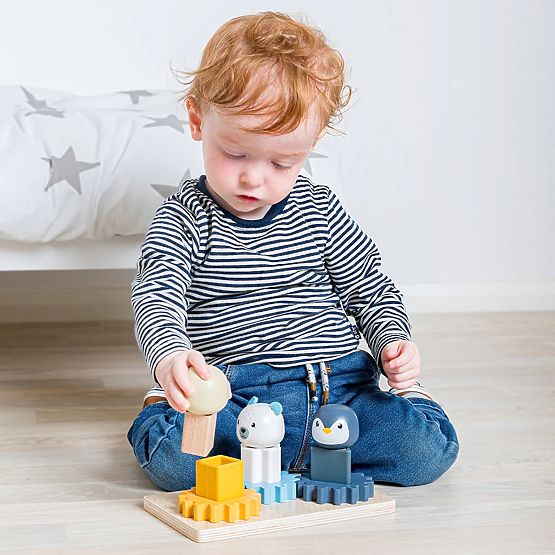 Bigjigs Toys Motorna ploča Arktik