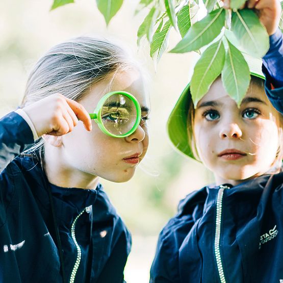 Bigjigs Toys Kit za hvatanje insekata