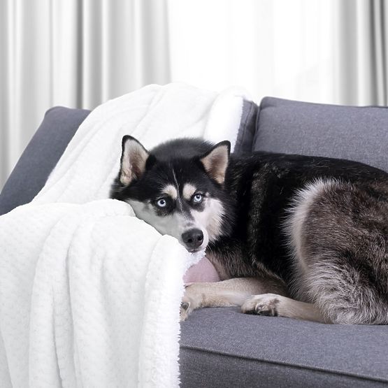 Bijela deka SHLEEPY s žakard uzorkom klasičnog stila 130x180