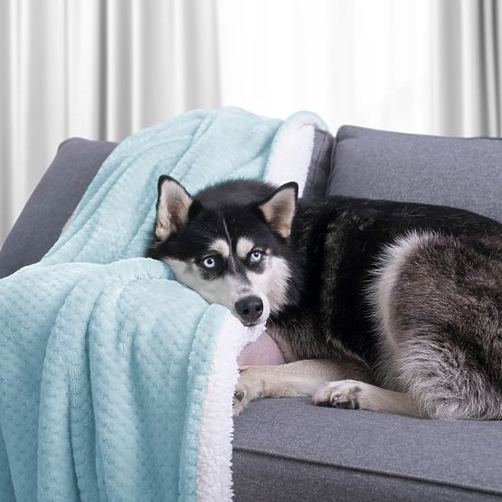 Deka SHLEEPY svijetloplava žakard uzorak klasični stil 70x150