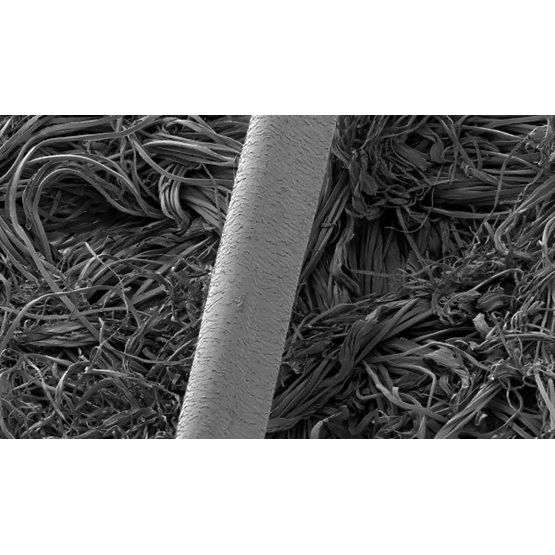 Deka za evoluciju - 140x200 cm