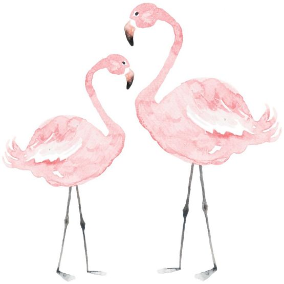 Dekorace na zeď DEKORNIK - Plameňáci