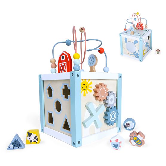 Drvena edukativna kocka sorter + kocke ECOTOYS