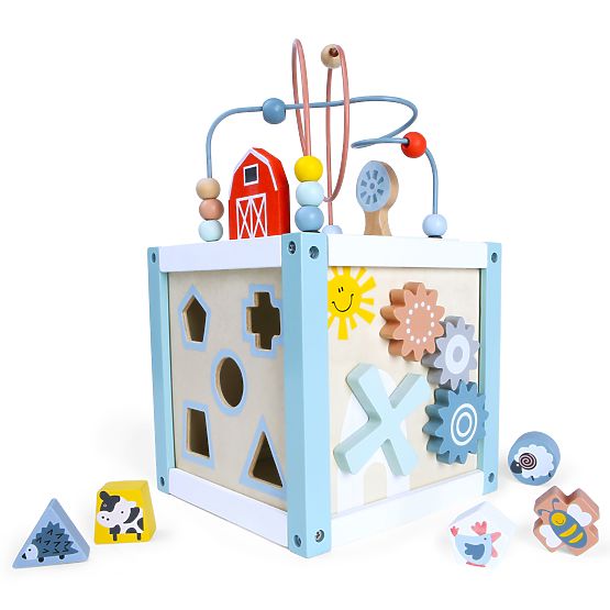 Drvena edukativna kocka sorter + kocke ECOTOYS