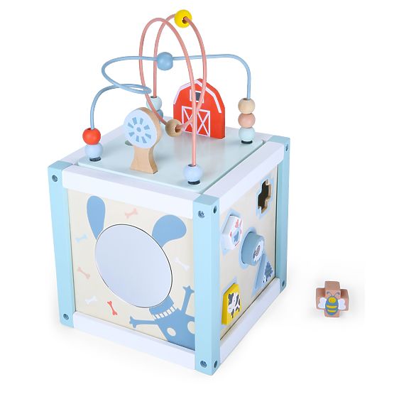 Drvena edukativna kocka sorter + kocke ECOTOYS