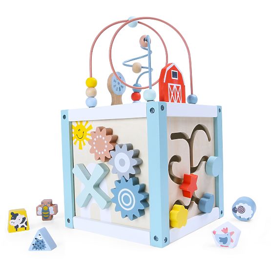 Drvena edukativna kocka sorter + kocke ECOTOYS