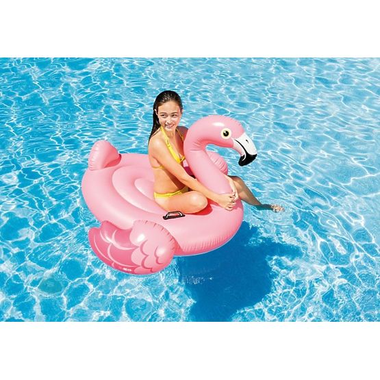 Flamingo na napuhavanje u vodi