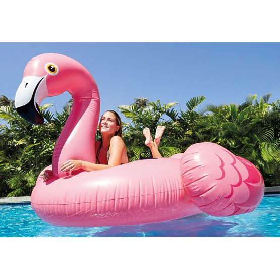 Flamingo na napuhavanje u vodi