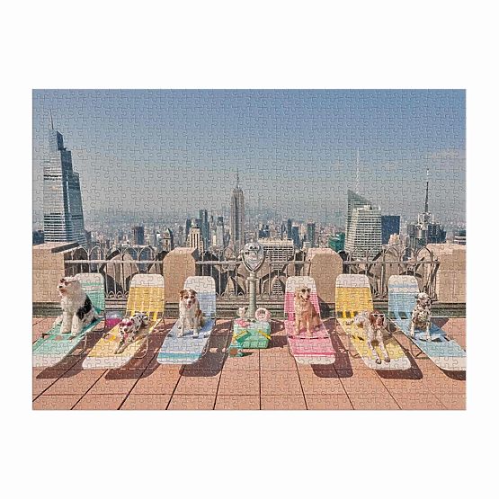Galison Puzzle Psi u New Yorku Gray Malin 1000 komada