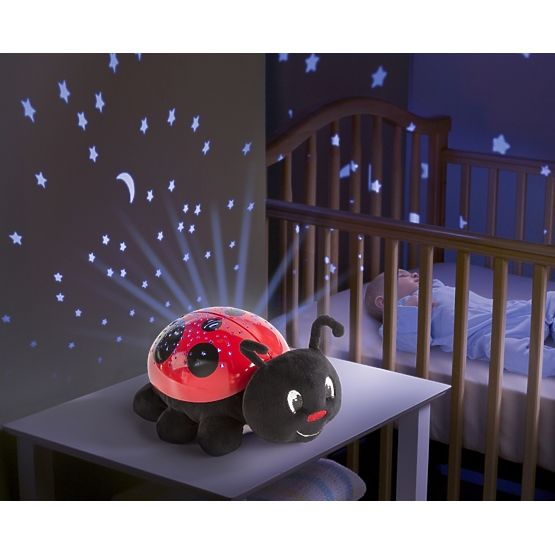 Kámoš na spaní - Beruška