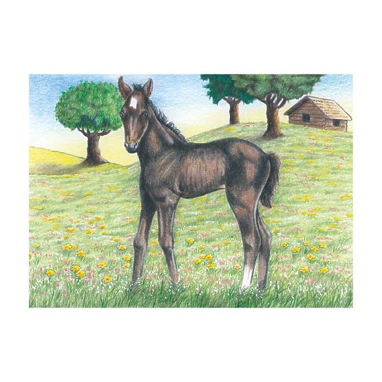 Kockaste puzzle s ovčicom