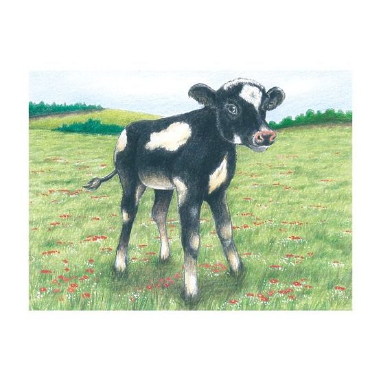Kockaste puzzle s ovčicom