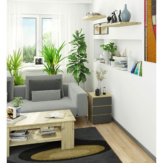 KOMODA CL3/40 PK HRAST ARTISAN / SIVA