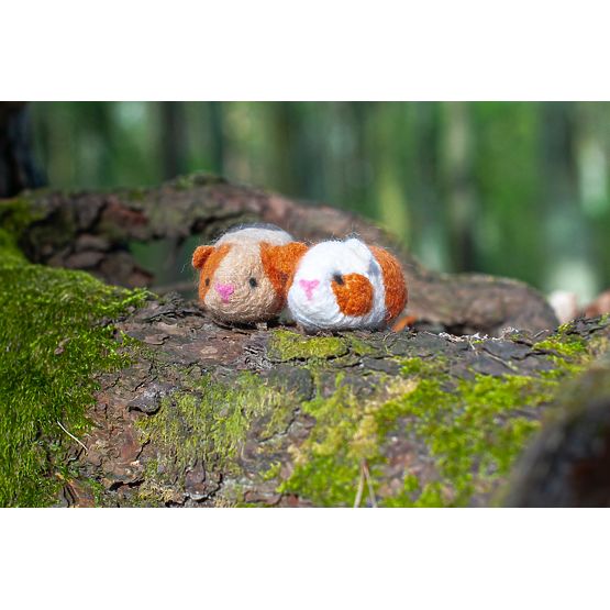 Komplet za filcanje - Zamorci