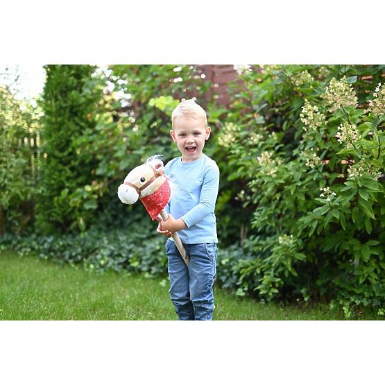 Konjić na štapu Achał Hobby Horse