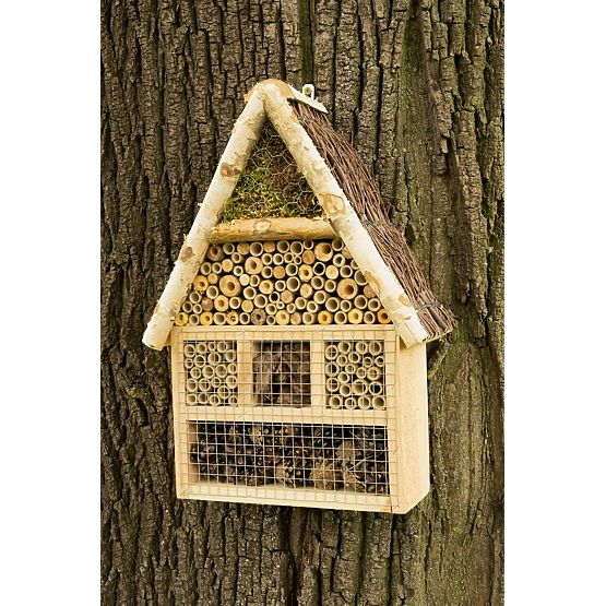 Kuća za kukce - hotel XXL