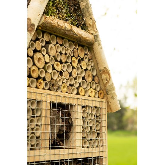 Kuća za kukce - hotel XXL