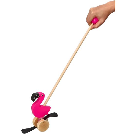 Nature Planet Flamingo na guranje