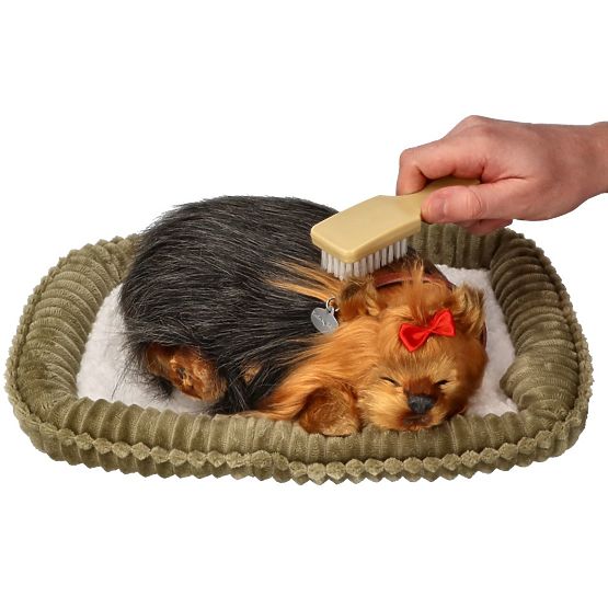 Perfect Petzzz Hrčući štene York