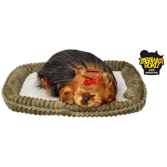 Perfect Petzzz Hrčući štene York