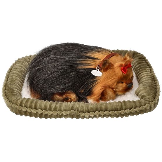 Perfect Petzzz Hrčući štene York
