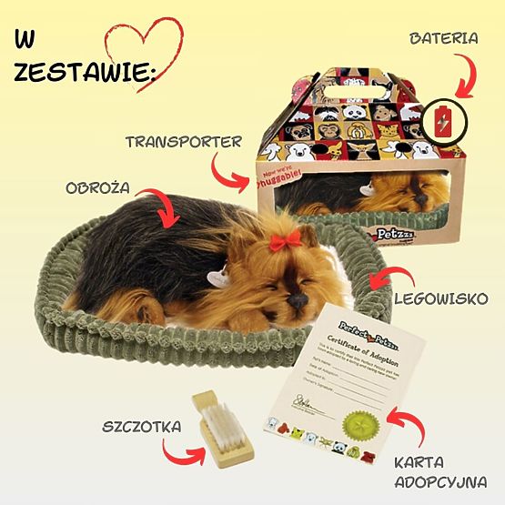 Perfect Petzzz Hrčući štene York