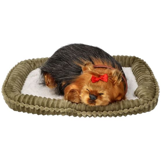 Perfect Petzzz Hrčući štene York
