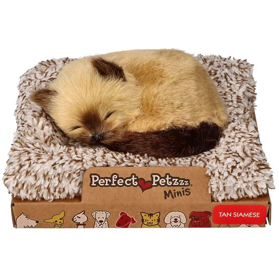 Perfect Petzzz Malo sijamsko mače