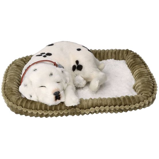 Perfect Petzzz Usvojite Dalmatinca koji diše