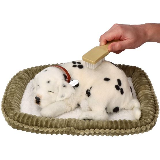 Perfect Petzzz Usvojite Dalmatinca koji diše