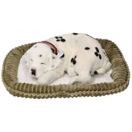 Perfect Petzzz Usvojite Dalmatinca koji diše
