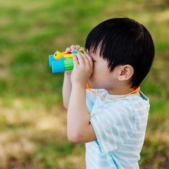 Plavo-zeleni dalekozor - leptir
