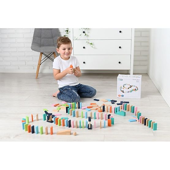 Šareni Domino Adam Toys