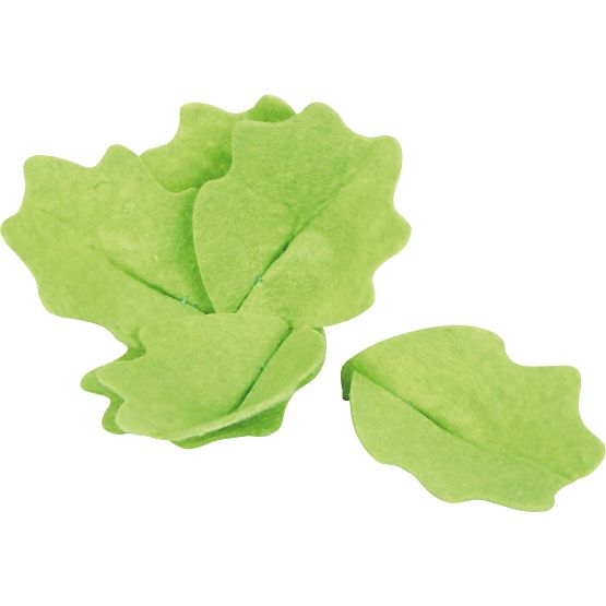 Set za salatu s povrćem za rezanje Fresh