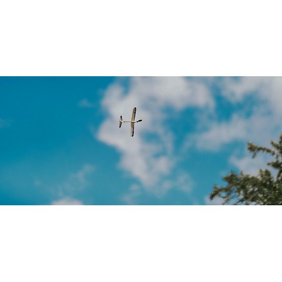 Sklopivi avion Eagle Jet