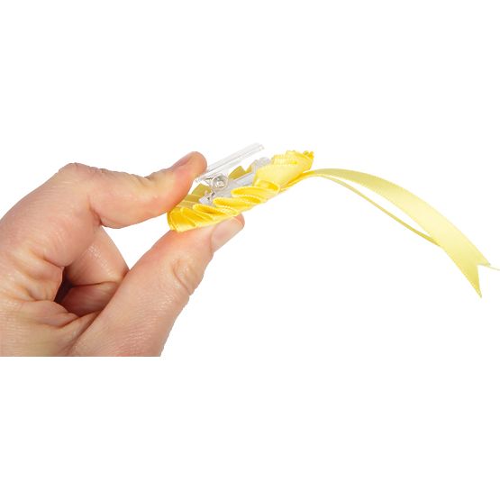 small foot Set za njegu konja s crvenom torbom