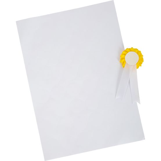 small foot Set za njegu konja s torbom