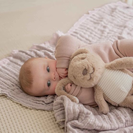 Smeđi zeko s otkucajem srca FLOW