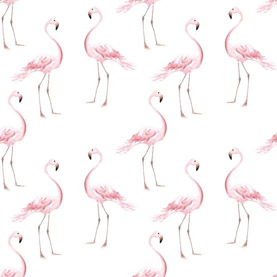 Tapeta DEKORNIK Flamingos