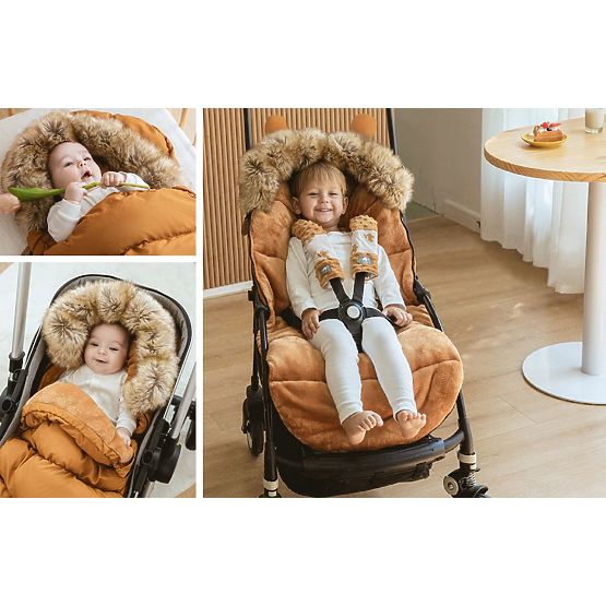 Torba za uzgoj Teddy Gold