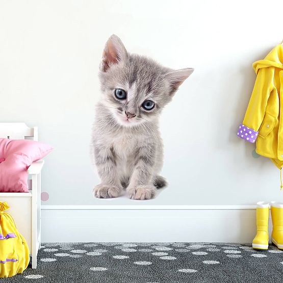 Zidna naljepnica - Mačić