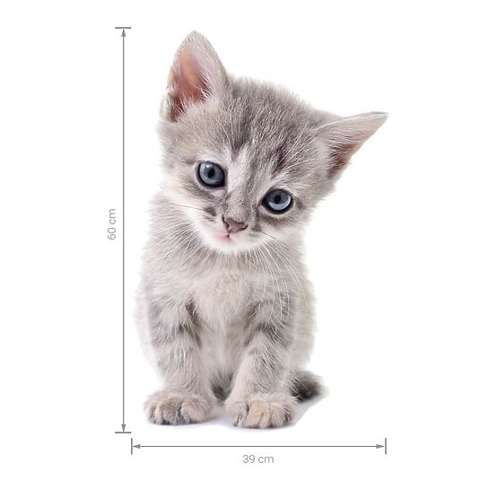 Zidna naljepnica - Mačić