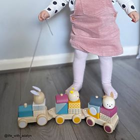 Bigjigs Baby Drveni vlak sa životinjama