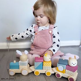 Bigjigs Baby Drveni vlak sa životinjama