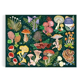 Galison Puzzle Svijet gljiva 1000 dijelova, Galison