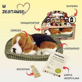 Perfect Petzzz Dišuće Štene Beagle