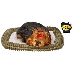 Perfect Petzzz Hrčući štene York