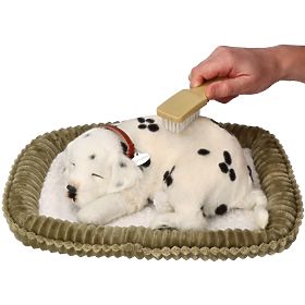 Perfect Petzzz Usvojite Dalmatinca koji diše