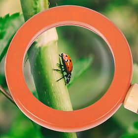 small foot Pojas s priborom za istraživače Discover